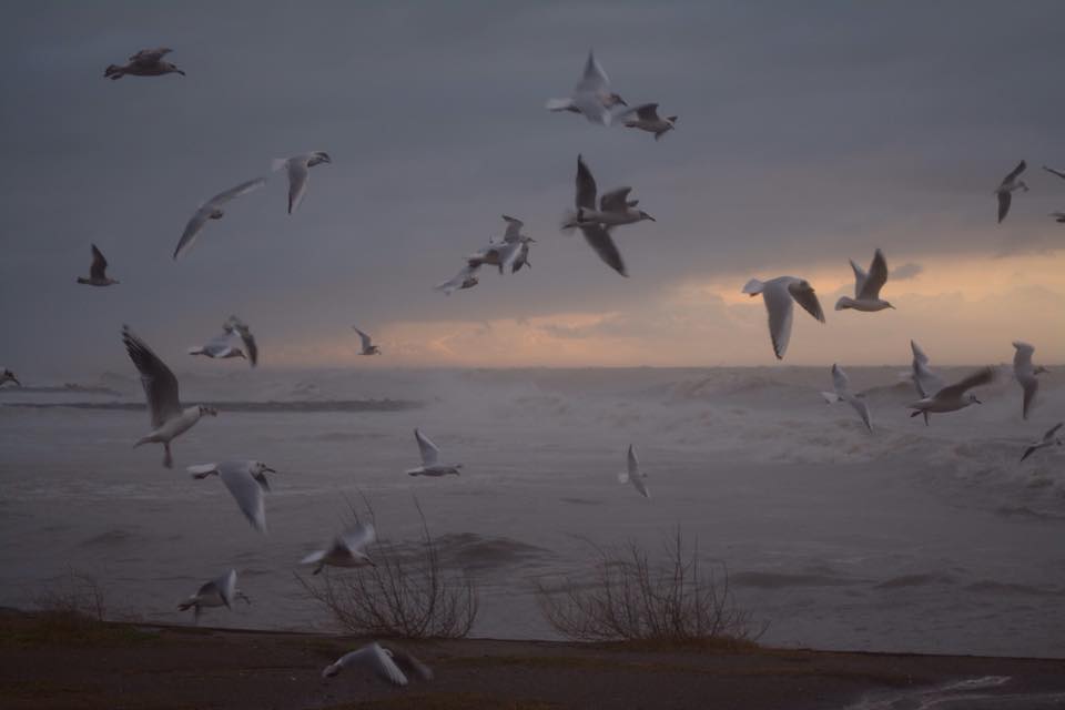 La meraviglia come modalit di vivere: Ostia attraverso il mio sguardo